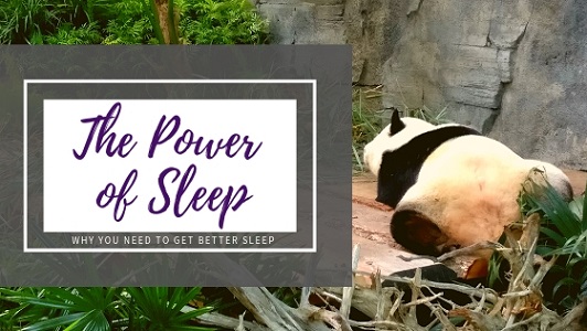 The Power of Sleep